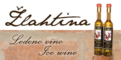 Žlahtina - ledena berba